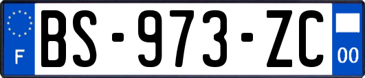 BS-973-ZC