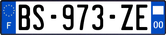 BS-973-ZE