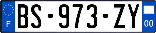 BS-973-ZY