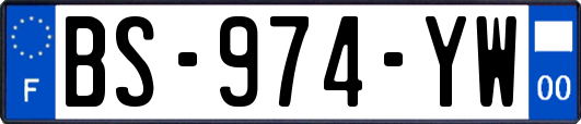 BS-974-YW