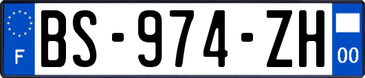 BS-974-ZH