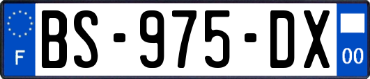 BS-975-DX