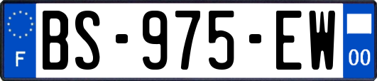 BS-975-EW