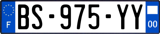 BS-975-YY