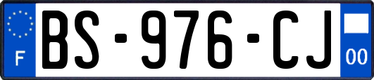 BS-976-CJ