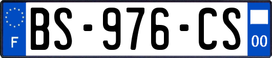 BS-976-CS