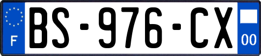 BS-976-CX
