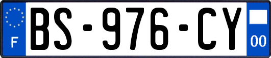 BS-976-CY
