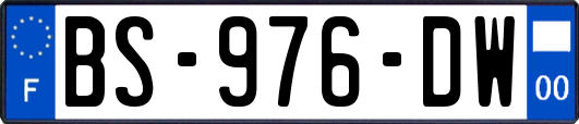 BS-976-DW