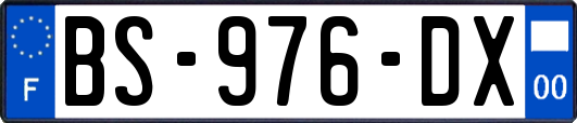 BS-976-DX