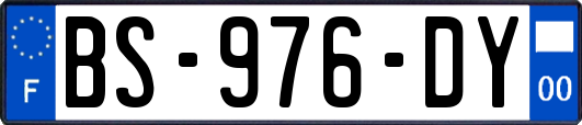 BS-976-DY