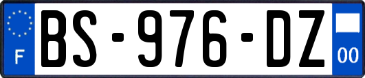 BS-976-DZ