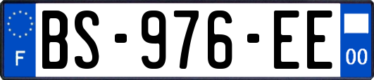 BS-976-EE