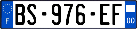BS-976-EF