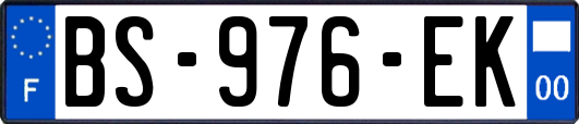 BS-976-EK
