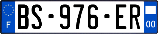 BS-976-ER