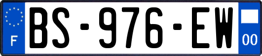 BS-976-EW