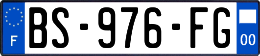 BS-976-FG