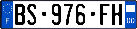 BS-976-FH