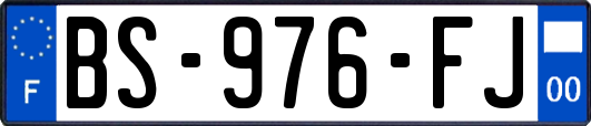 BS-976-FJ