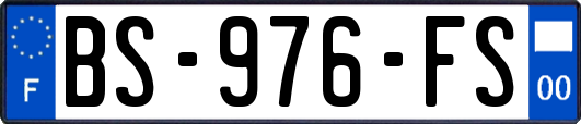 BS-976-FS