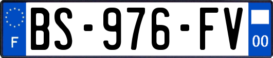 BS-976-FV