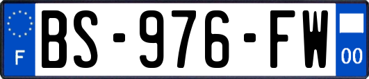 BS-976-FW