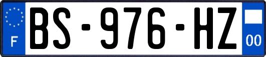 BS-976-HZ