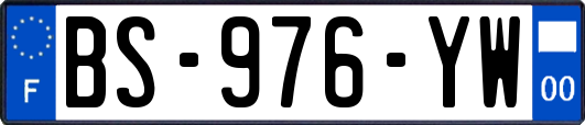 BS-976-YW