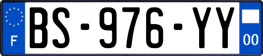 BS-976-YY