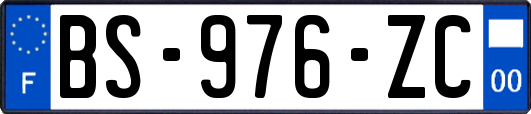 BS-976-ZC