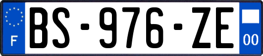 BS-976-ZE