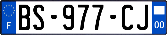 BS-977-CJ