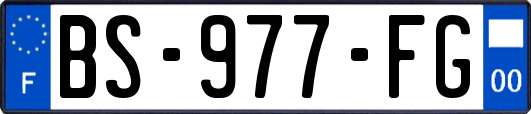 BS-977-FG