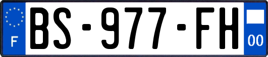 BS-977-FH