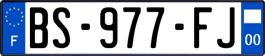 BS-977-FJ