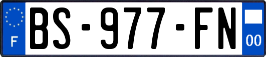 BS-977-FN