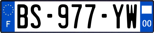 BS-977-YW