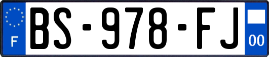 BS-978-FJ