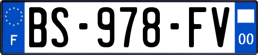 BS-978-FV