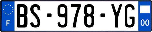 BS-978-YG