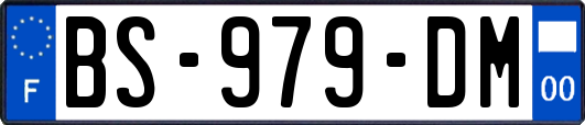 BS-979-DM