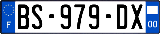 BS-979-DX