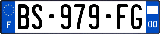 BS-979-FG