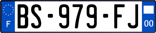 BS-979-FJ
