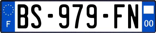 BS-979-FN