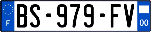 BS-979-FV