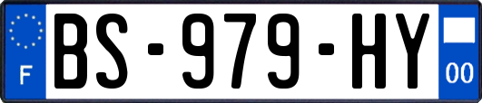 BS-979-HY