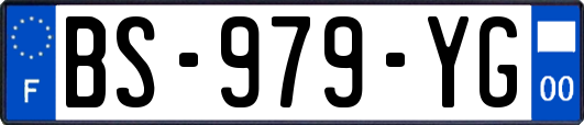 BS-979-YG