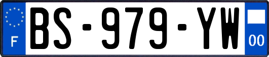 BS-979-YW